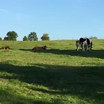 Vakantiewoning Kleijnen