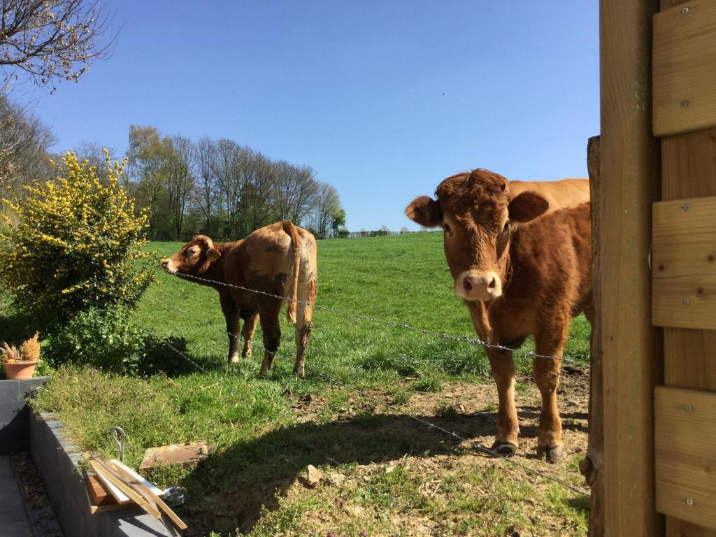 Kleijnen * Noorbeek